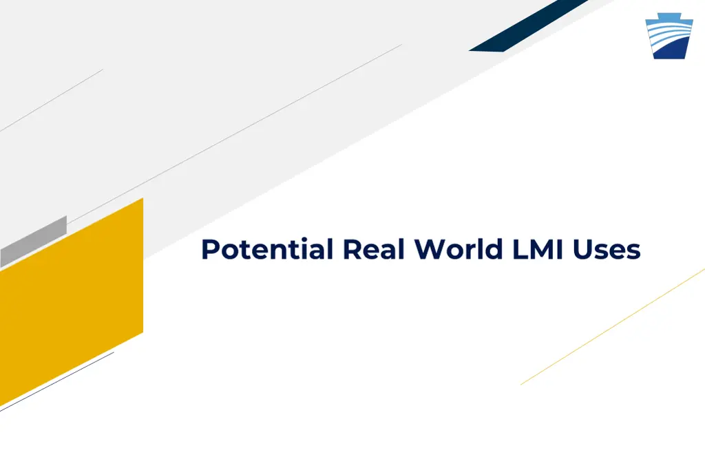 potential real world lmi uses