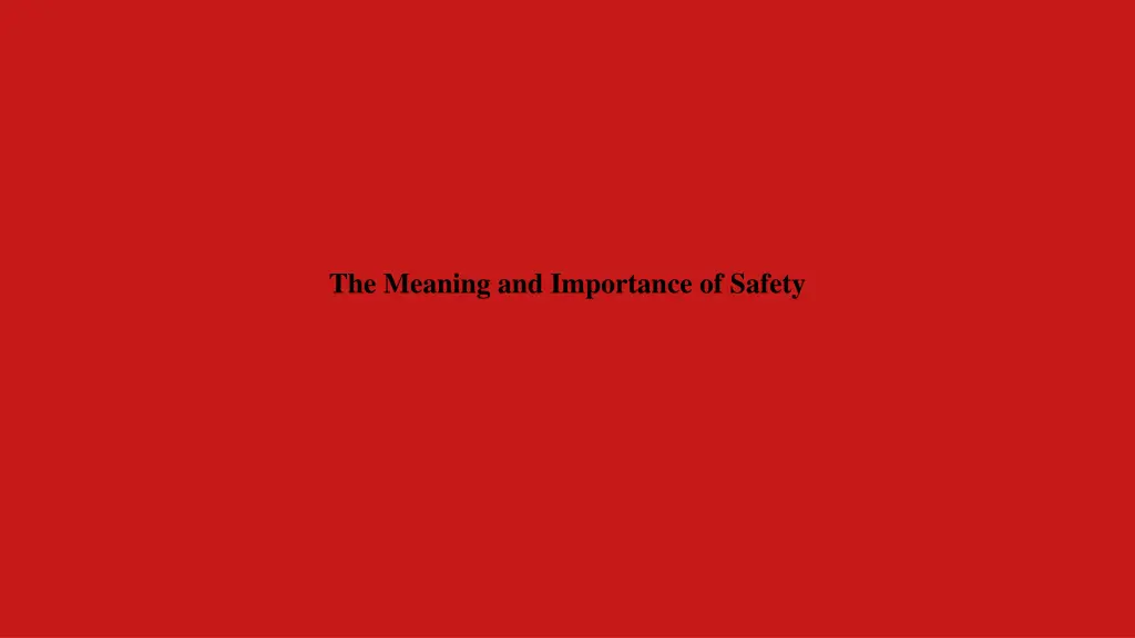 the meaning and importance of safety