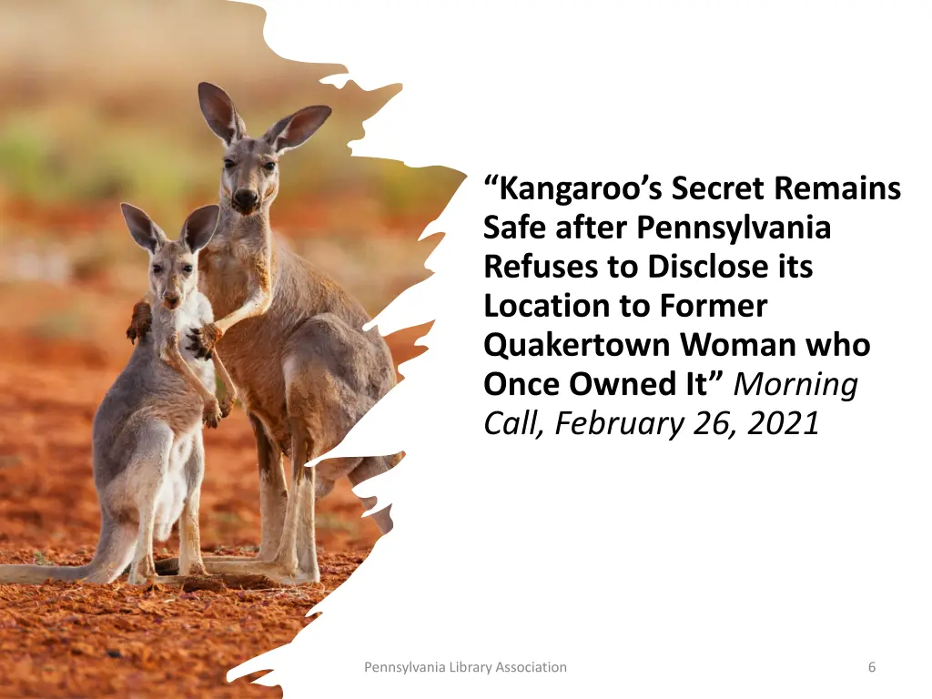 kangaroo s secret remains safe after pennsylvania