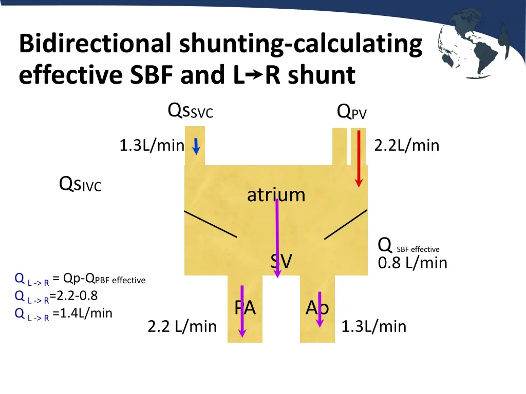 bidirectional shunting calculating effective 1