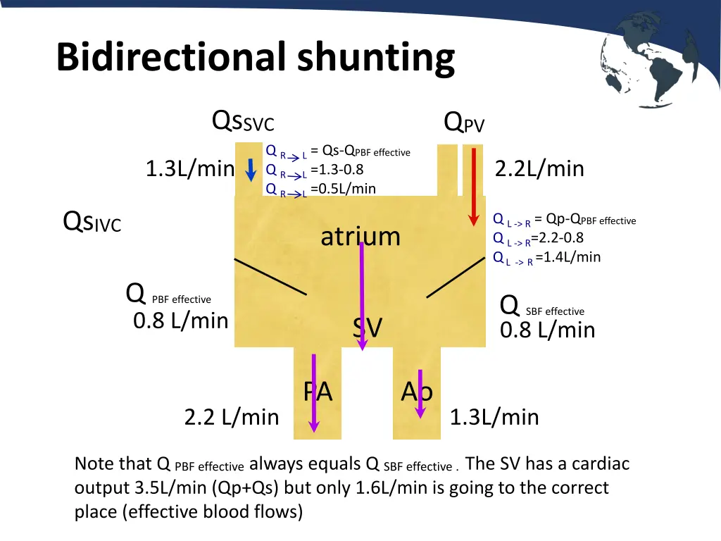 bidirectional shunting