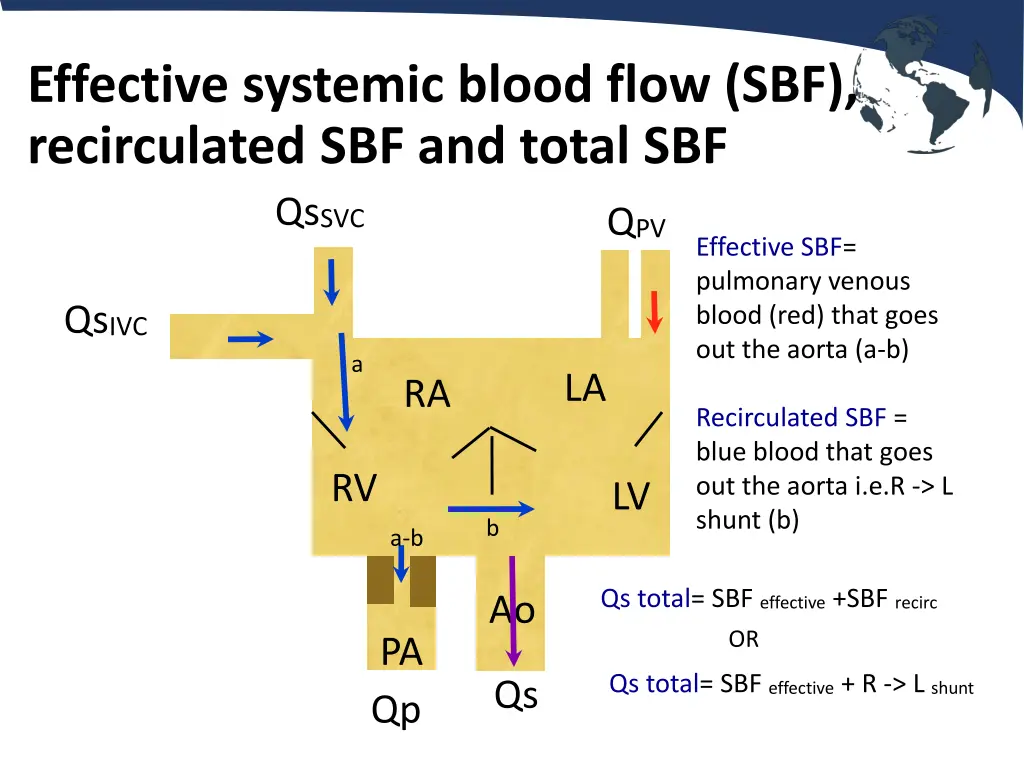 effective systemic blood flow sbf recirculated