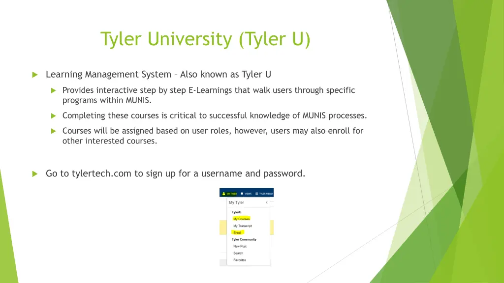 tyler university tyler u