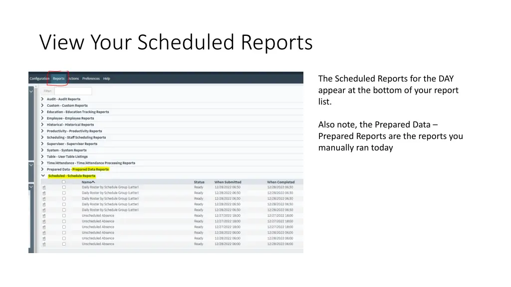 view your scheduled reports