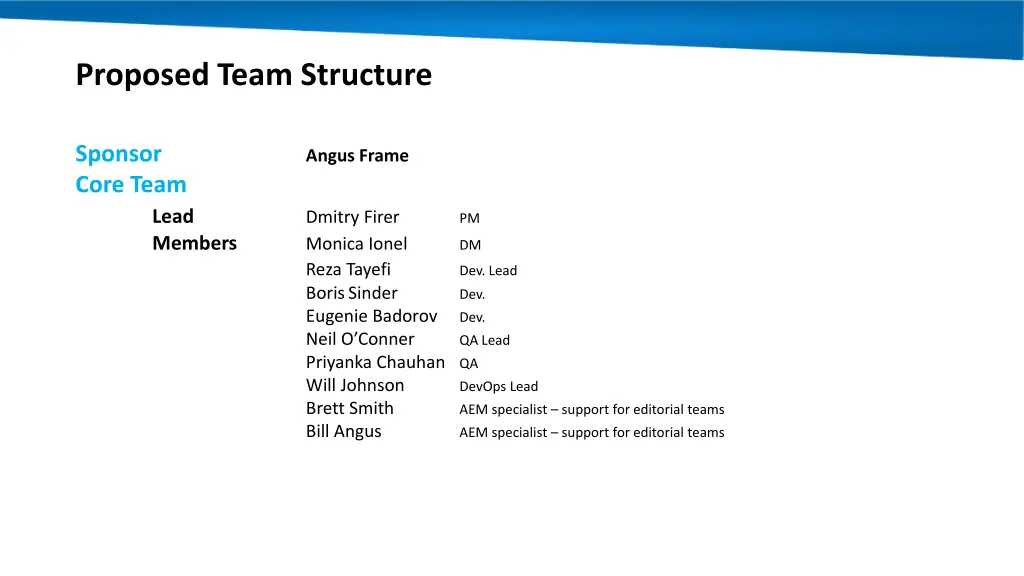 proposed team structure