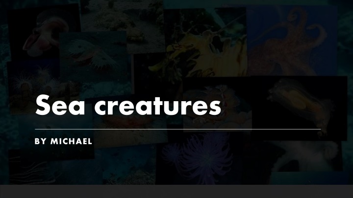 sea creatures