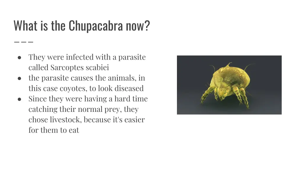 what is the chupacabra now