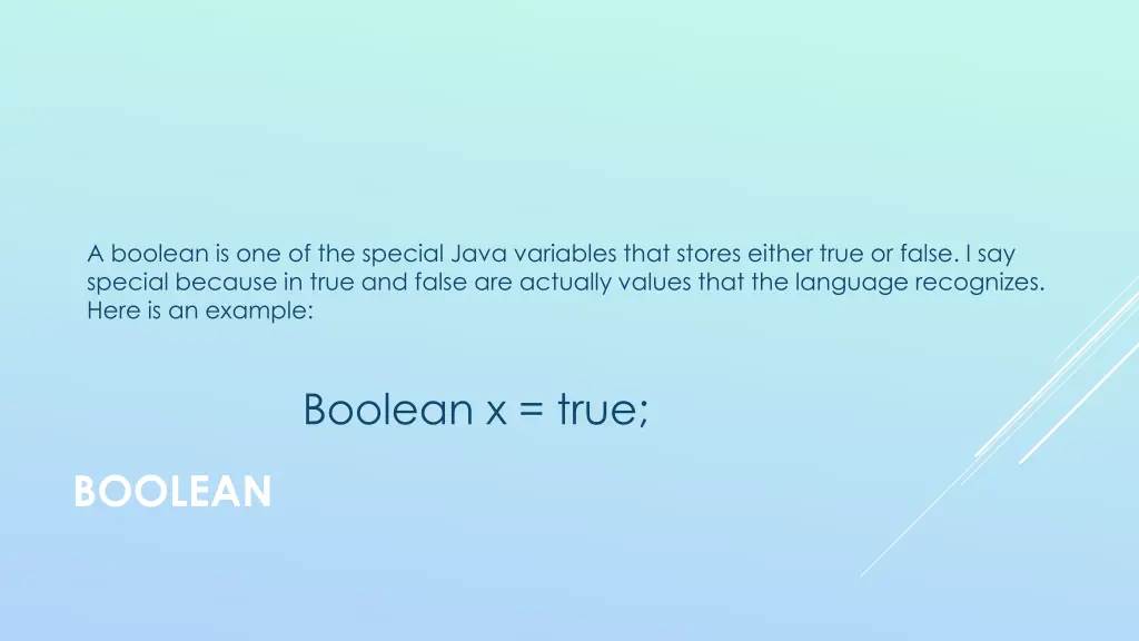 a boolean is one of the special java variables