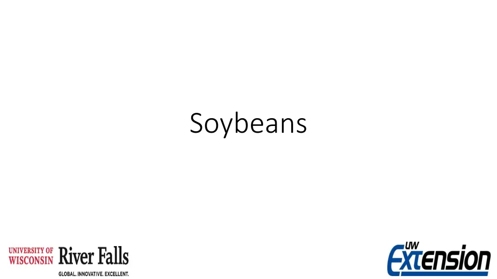 soybeans