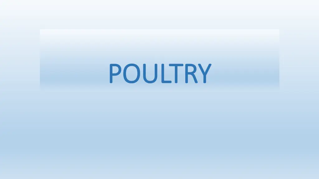 poultry poultry