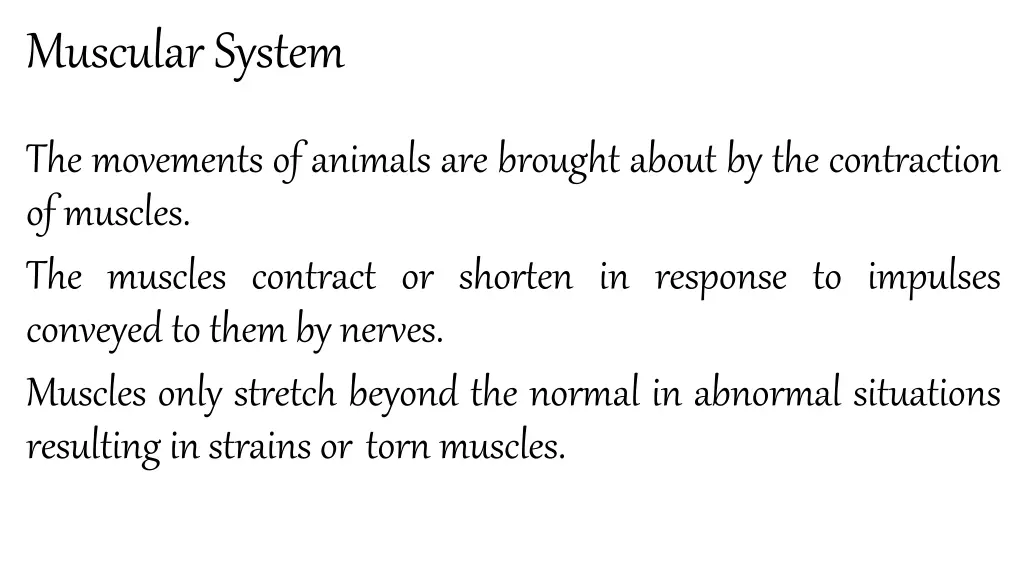 muscularsystem