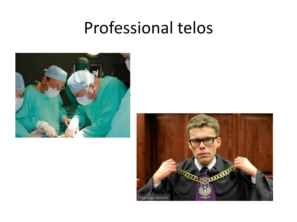 professional telos