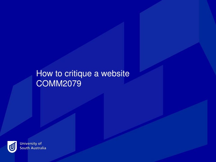 how to critique a website comm2079