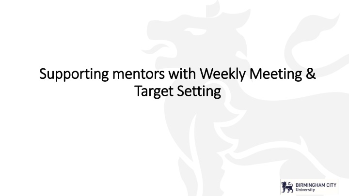 supporting mentors with weekly meeting supporting