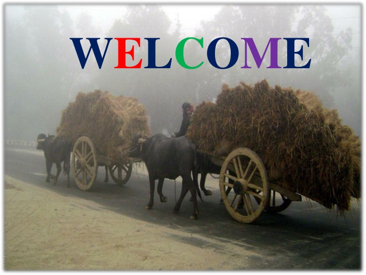 welcome