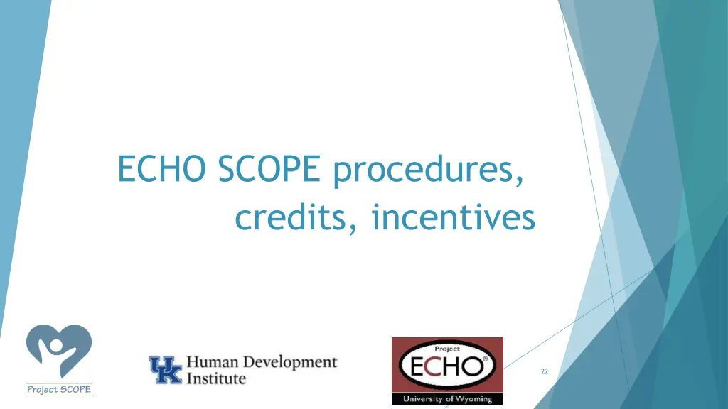 echo scope procedures credits incentives