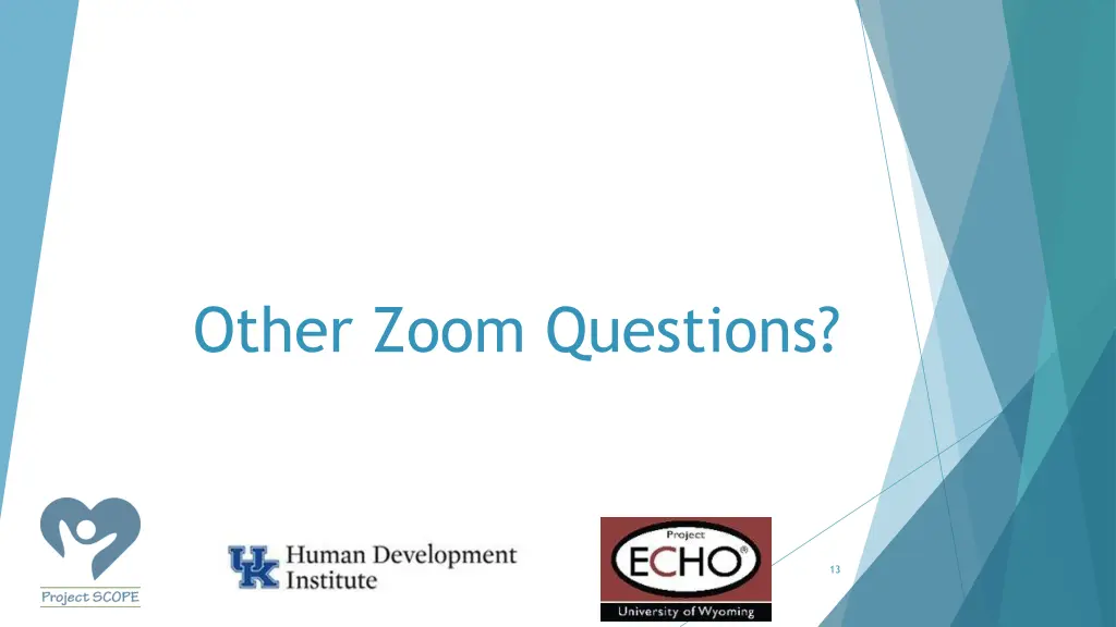 other zoom questions