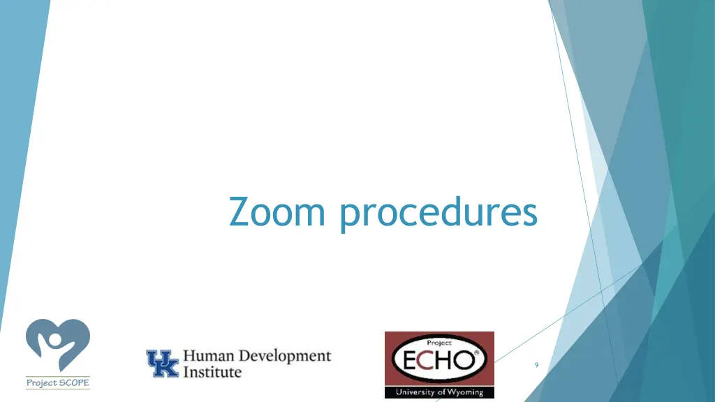 zoom procedures