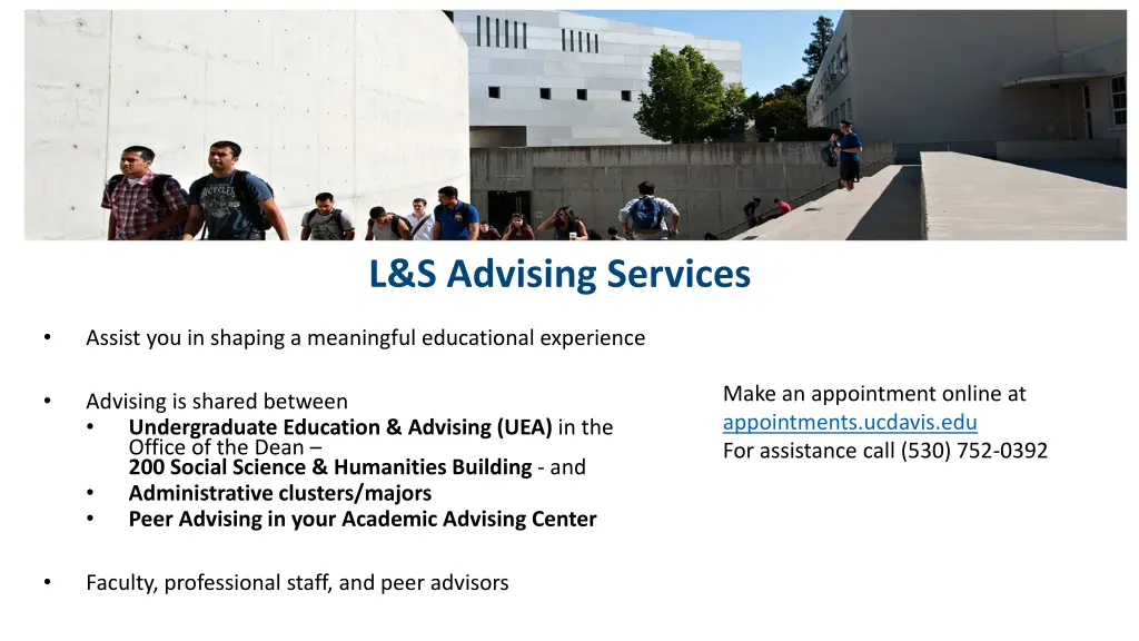 l s advising services