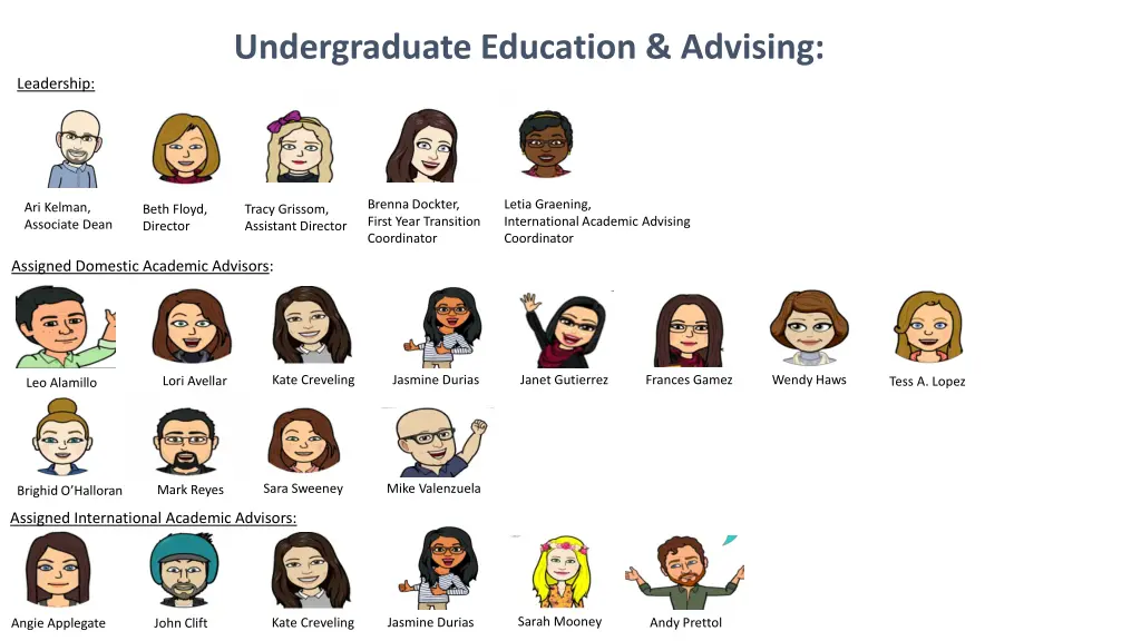 undergraduate education advising