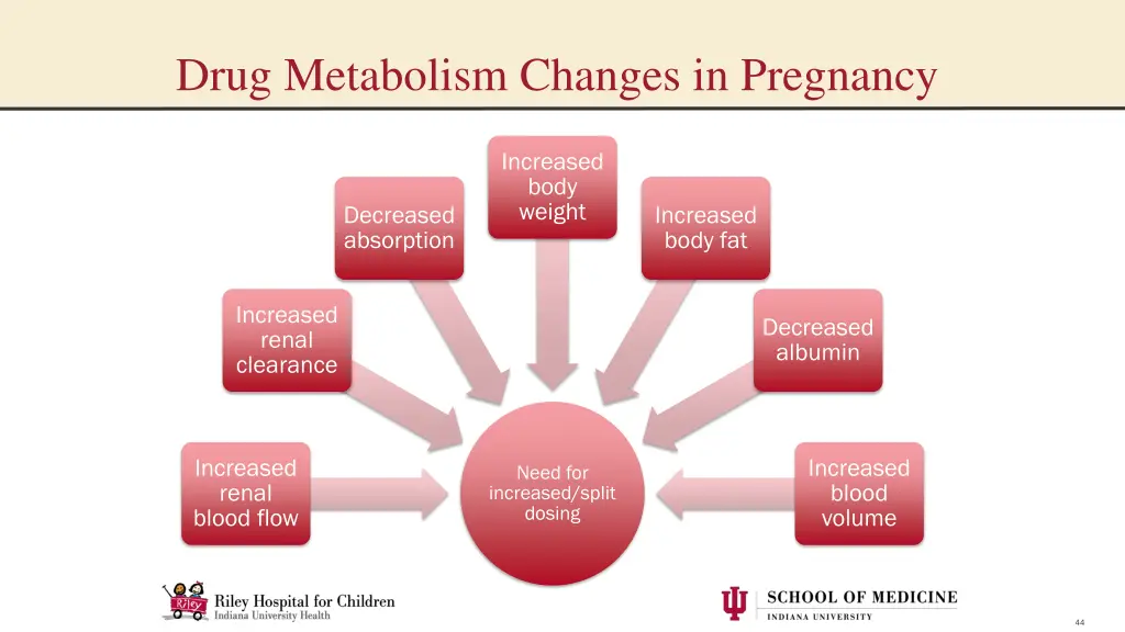 drug metabolism changes in pregnancy