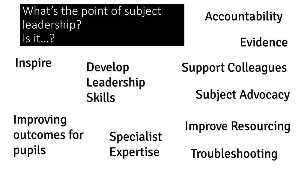 what s the point of subject leadership