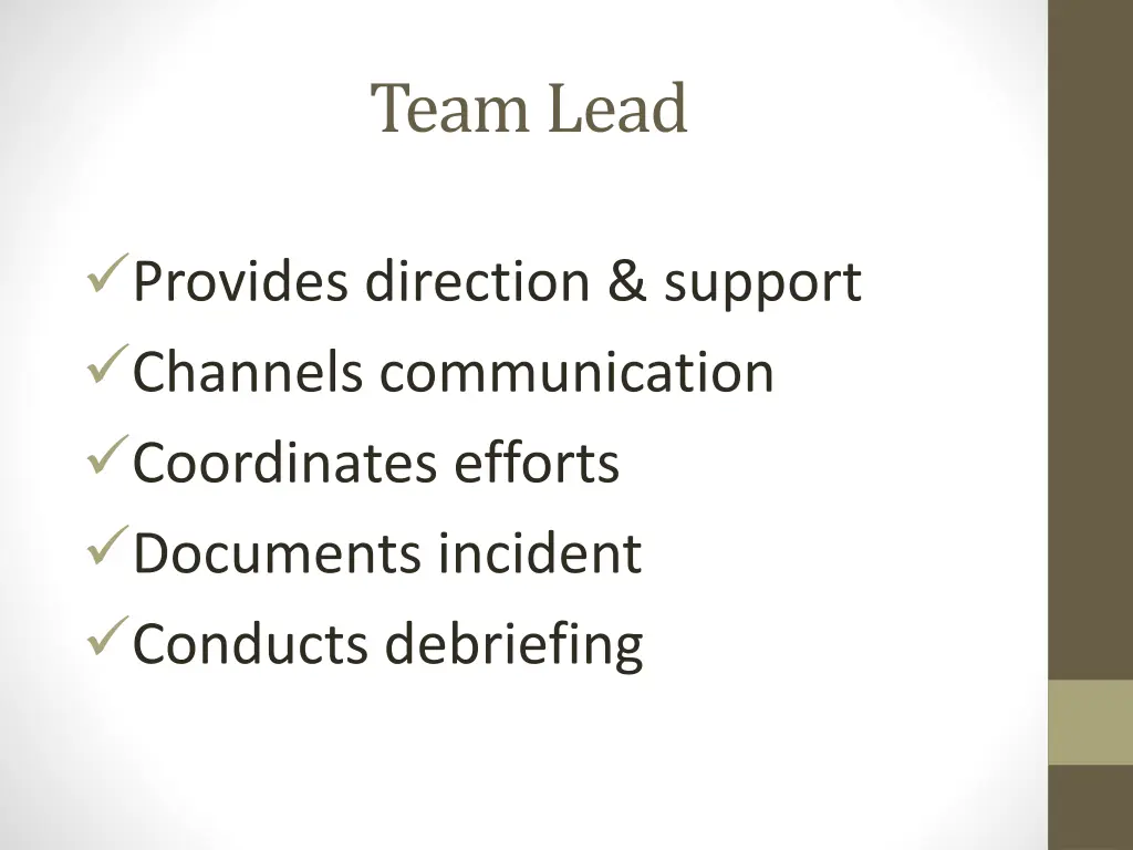 team lead