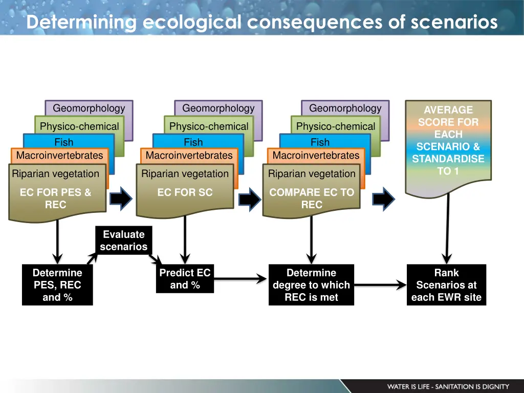 determining ecological consequences of scenarios 1