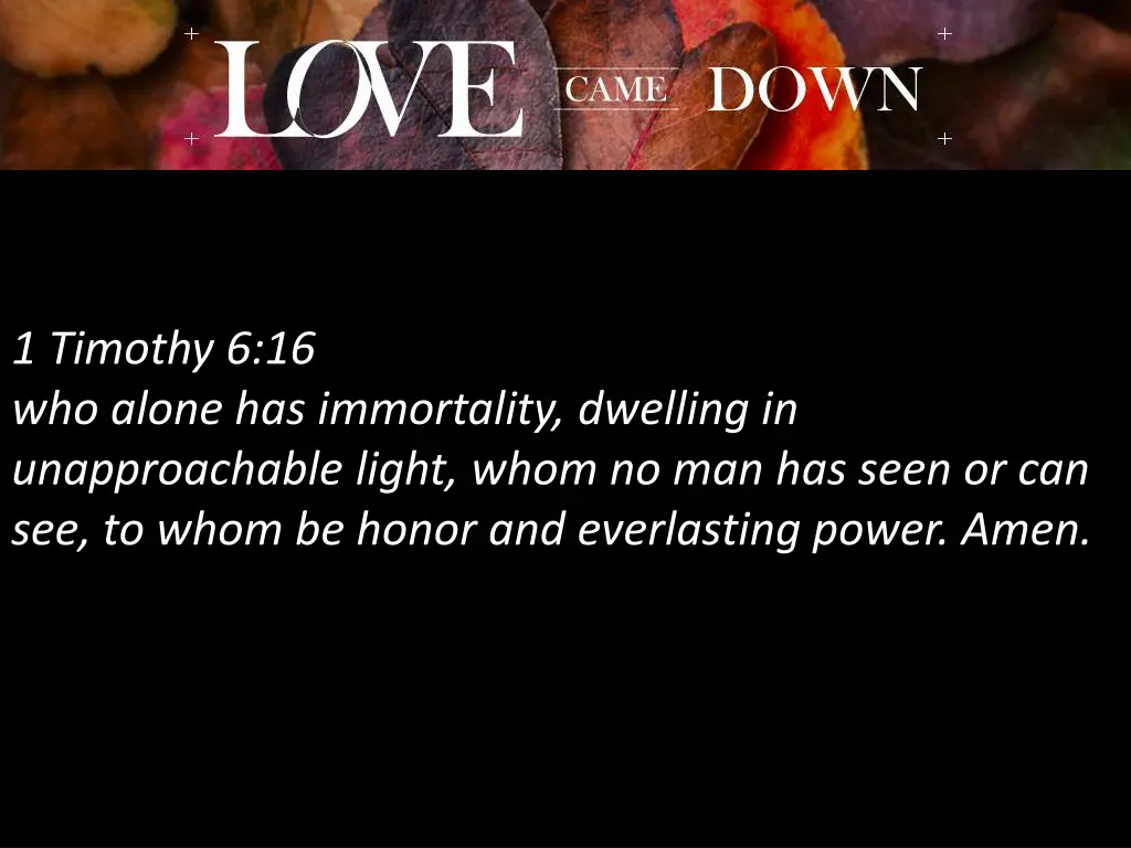 1 timothy 6 16 who alone has immortality dwelling