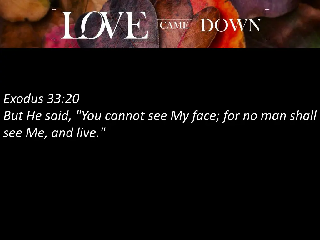 exodus 33 20 but he said you cannot see my face