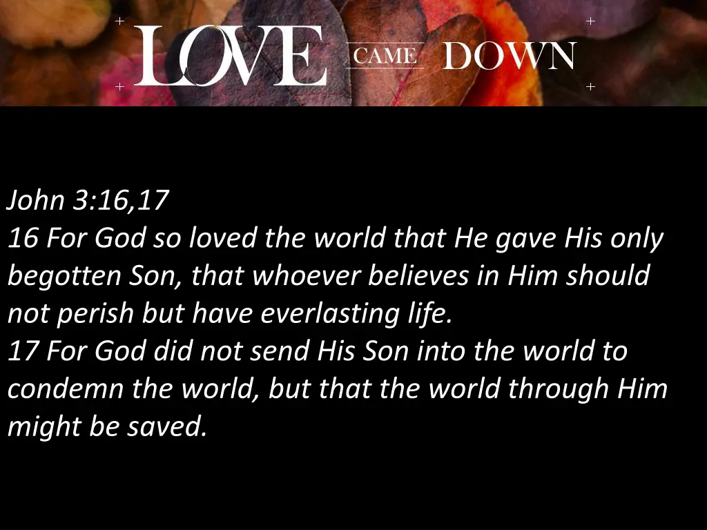 john 3 16 17 16 for god so loved the world that