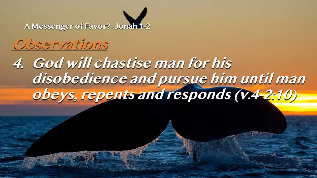 a messenger of favor jonah 1 2 observations 1