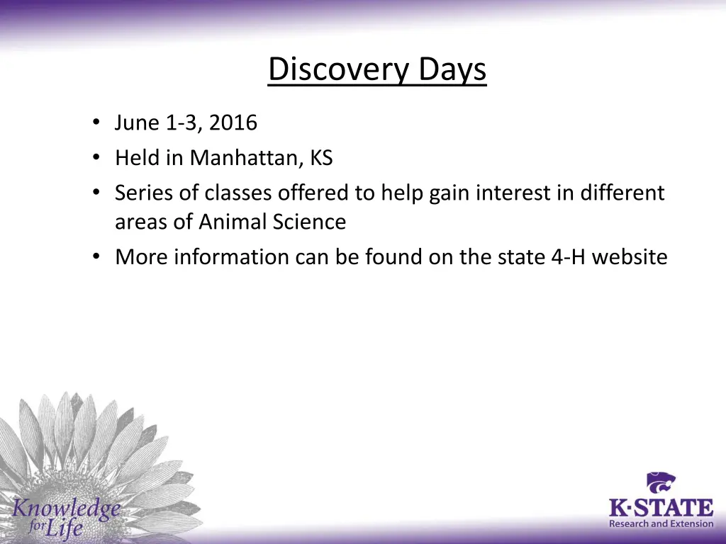 discovery days