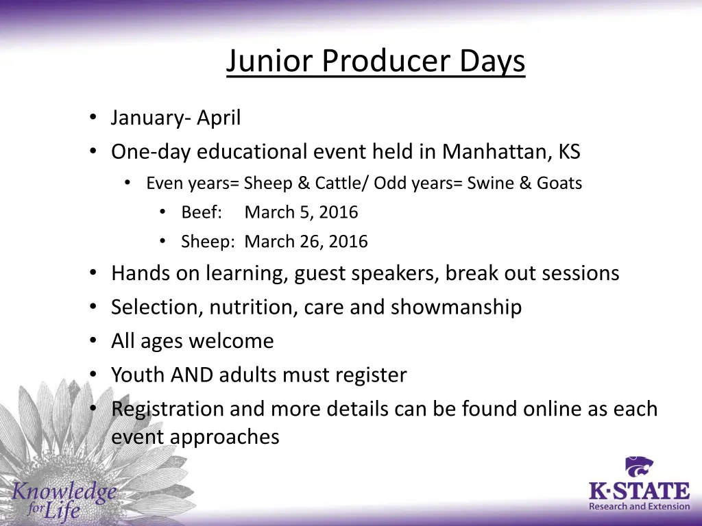 junior producer days