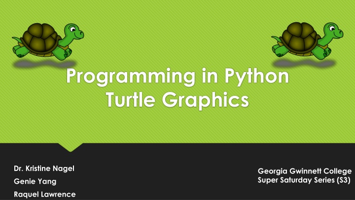 programming in python turtle graphics