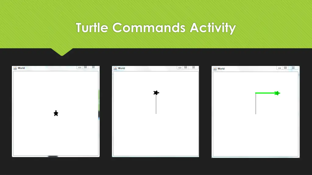 turtle commands activity 1