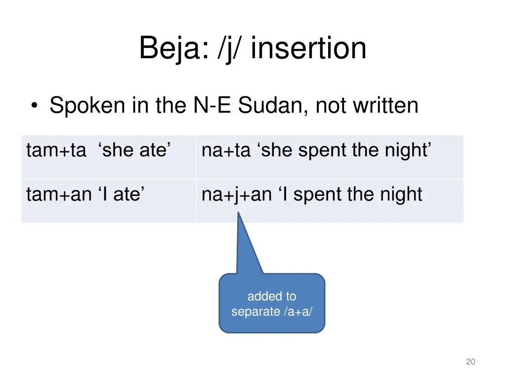 beja j insertion