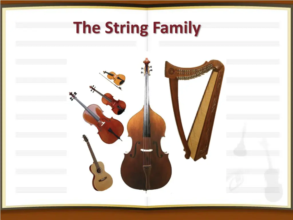 the string family