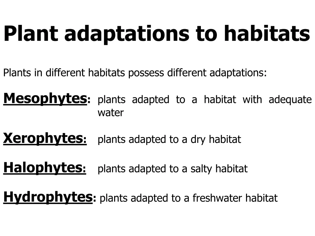 plant adaptations to habitats