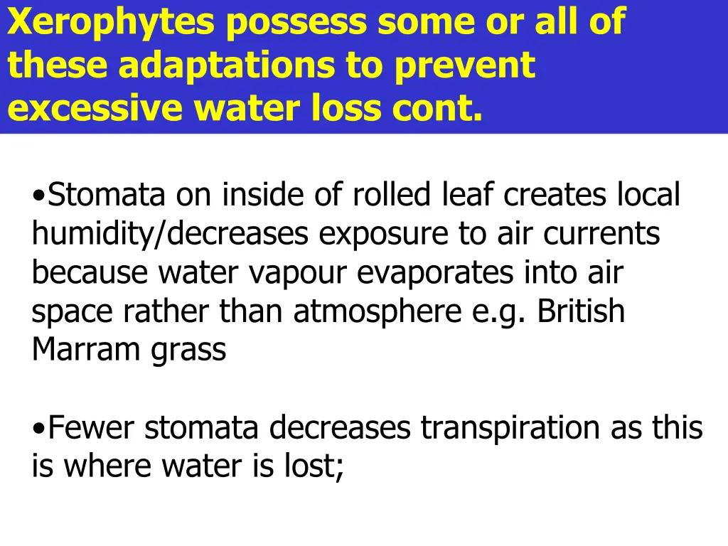 xerophytes possess some or all of these 1