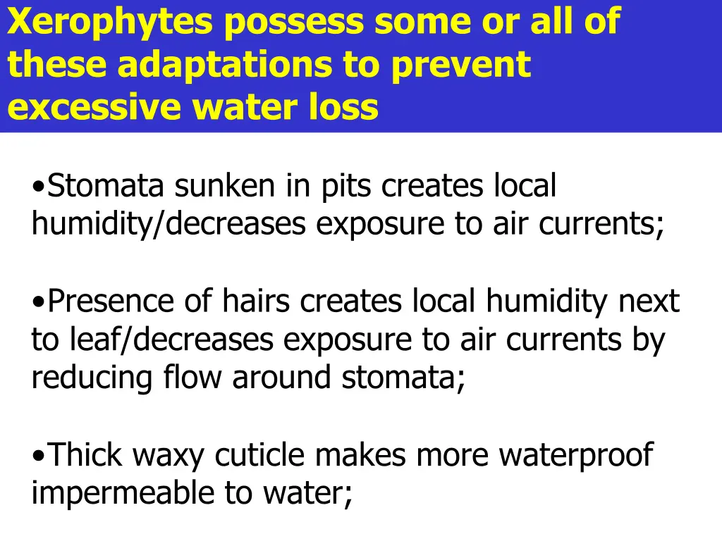 xerophytes possess some or all of these