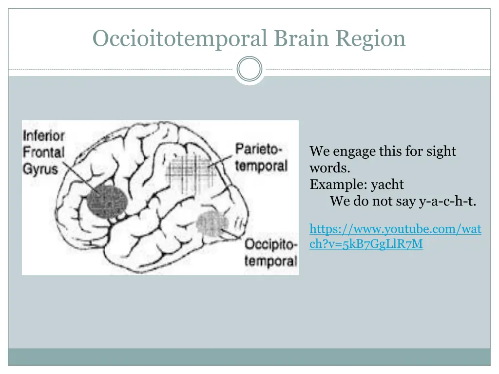 occioitotemporal brain region