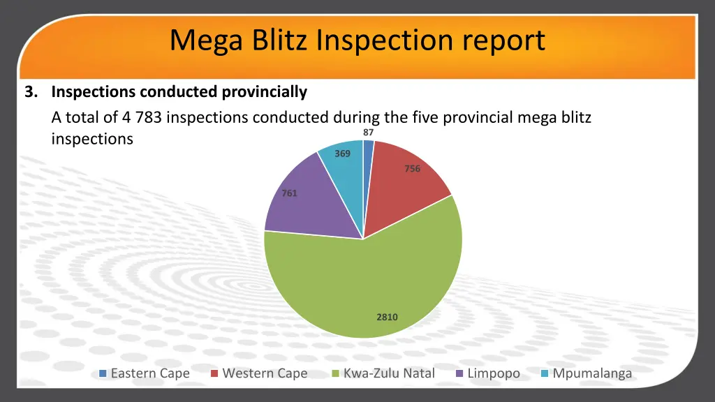 mega blitz inspection report 2