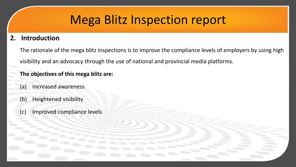 mega blitz inspection report