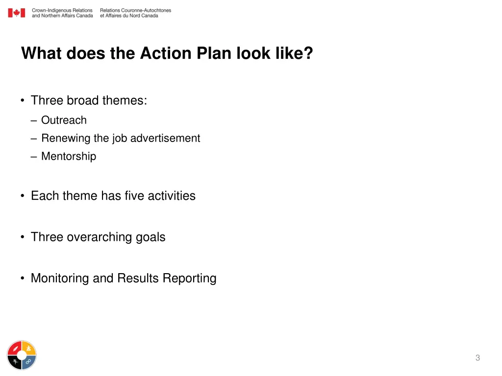 what does the action plan look like