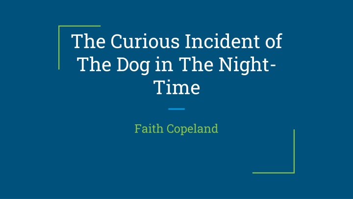 the curious incident of the dog in the night time