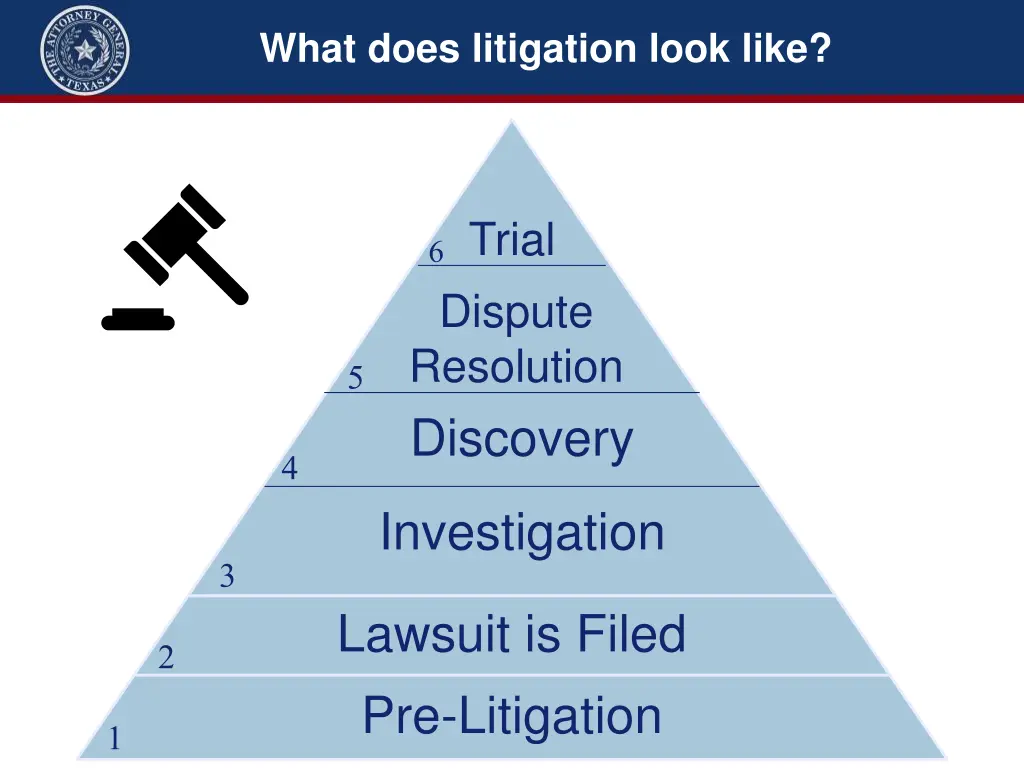 what does litigation look like