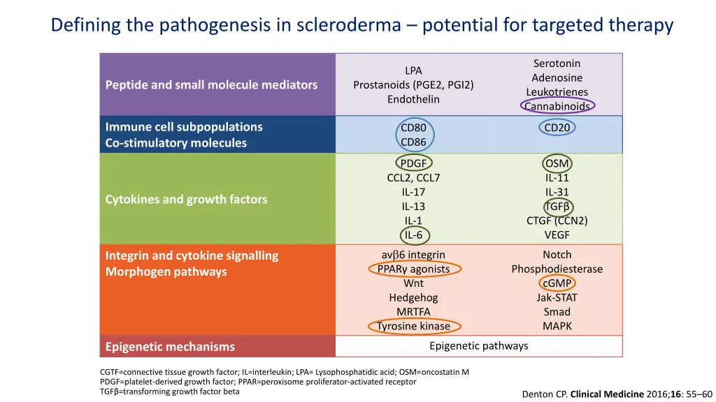 defining the pathogenesis in scleroderma