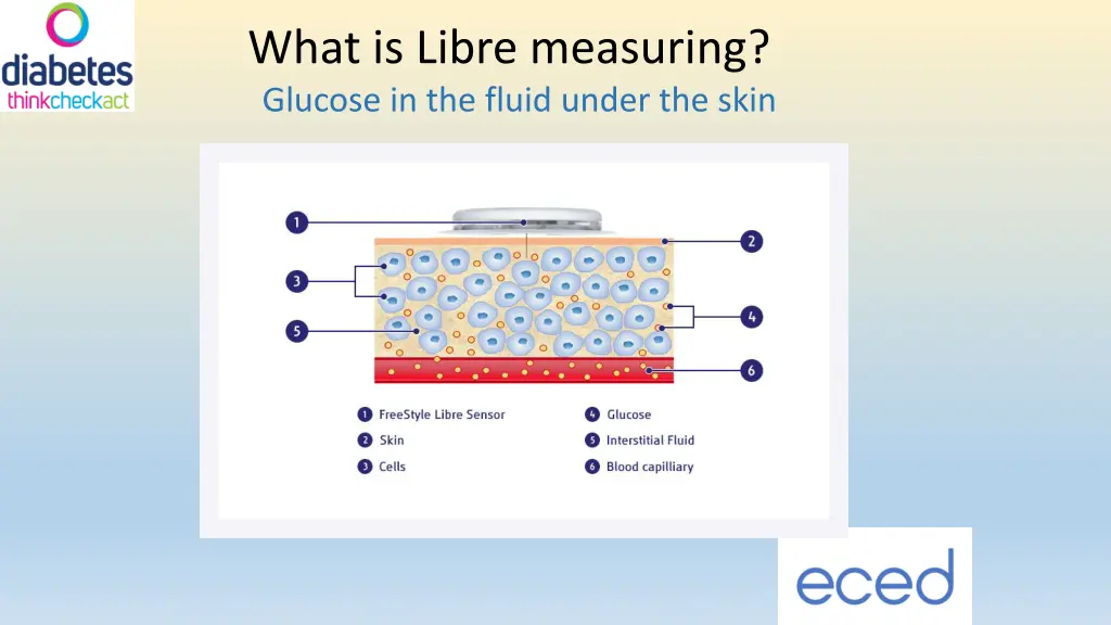 what is libre measuring glucose in the fluid