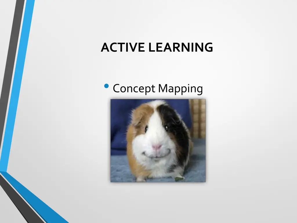 active learning